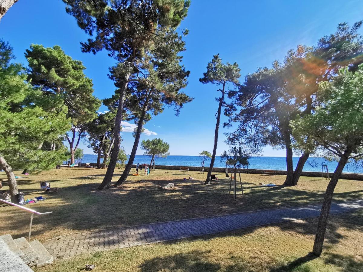 Emily Deluxe Superior 5 Star Studio Apartment, Your Piece Of Heaven With Sea & Park View Новиград Екстериор снимка